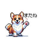 日常 ドット絵 コーギー 40種 犬 イヌ DOG（個別スタンプ：33）