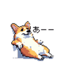 日常 ドット絵 コーギー 40種 犬 イヌ DOG（個別スタンプ：35）