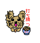 頑張れ受験生♡犬の合格応援メッセージ（個別スタンプ：20）