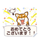 キリッと柴犬☆冬と毎日メッセージスタンプ（個別スタンプ：5）