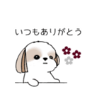 シーズースタンプ Stickers_Shih Tzu_k（個別スタンプ：2）