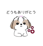 シーズースタンプ Stickers_Shih Tzu_k（個別スタンプ：4）