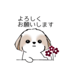 シーズースタンプ Stickers_Shih Tzu_k（個別スタンプ：5）