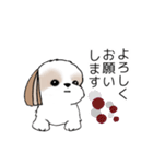 シーズースタンプ Stickers_Shih Tzu_k（個別スタンプ：6）