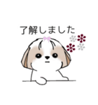 シーズースタンプ Stickers_Shih Tzu_k（個別スタンプ：12）