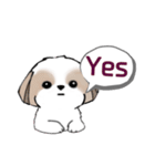 シーズースタンプ Stickers_Shih Tzu_k（個別スタンプ：13）