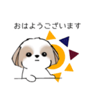 シーズースタンプ Stickers_Shih Tzu_k（個別スタンプ：17）