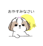 シーズースタンプ Stickers_Shih Tzu_k（個別スタンプ：20）