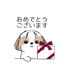 シーズースタンプ Stickers_Shih Tzu_k（個別スタンプ：25）