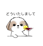 シーズースタンプ Stickers_Shih Tzu_k（個別スタンプ：29）