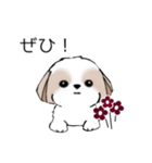 シーズースタンプ Stickers_Shih Tzu_k（個別スタンプ：32）