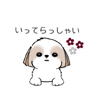 シーズースタンプ Stickers_Shih Tzu_k（個別スタンプ：33）