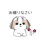 シーズースタンプ Stickers_Shih Tzu_k（個別スタンプ：34）