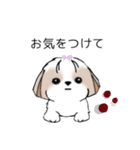 シーズースタンプ Stickers_Shih Tzu_k（個別スタンプ：35）