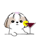 シーズースタンプ Stickers_Shih Tzu_k（個別スタンプ：40）