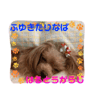 2023.oct.（個別スタンプ：8）
