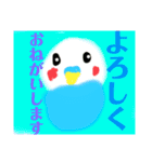 可愛いセキセイちゃん達1 cute birds 1（個別スタンプ：13）