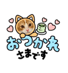 短足マンチカン・むぎ助日常スタンプ（個別スタンプ：3）