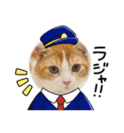 短足マンチカン・むぎ助日常スタンプ（個別スタンプ：6）