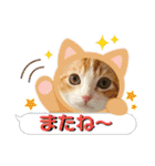 短足マンチカン・むぎ助日常スタンプ（個別スタンプ：16）