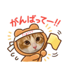 短足マンチカン・むぎ助日常スタンプ（個別スタンプ：21）