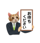 短足マンチカン・むぎ助日常スタンプ（個別スタンプ：26）