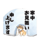 カーボーイハット姿の秋田犬のスタンプ3（個別スタンプ：15）