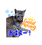 ポポ様スタンプ02（個別スタンプ：1）