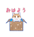 癒しのピアノ猫。ほのぼの音楽日記その1（個別スタンプ：1）