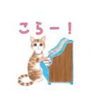 癒しのピアノ猫。ほのぼの音楽日記その1（個別スタンプ：17）