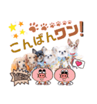 なかよし6わんず（個別スタンプ：4）