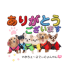 なかよし6わんず（個別スタンプ：5）