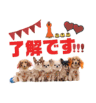なかよし6わんず（個別スタンプ：8）