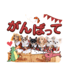 なかよし6わんず（個別スタンプ：9）