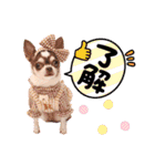 なかよし6わんず（個別スタンプ：19）