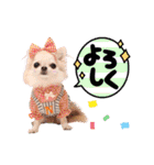 なかよし6わんず（個別スタンプ：21）