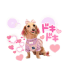なかよし6わんず（個別スタンプ：22）