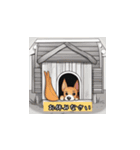 シンプルな犬スタンプ（個別スタンプ：16）