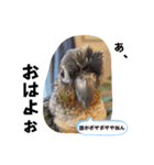 フィンとリロ（個別スタンプ：2）