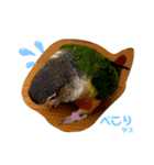 フィンとリロ（個別スタンプ：6）