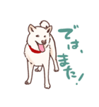 らんちゃん（イッヌ）のスタンプ（個別スタンプ：4）