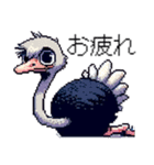 ⚫ダチョウ［ドット絵］（個別スタンプ：24）