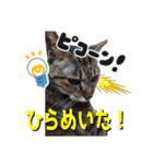 ポポ様スタンプ03（個別スタンプ：7）