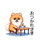 ドット絵 ポメラニアン 日常会話 40種 犬（個別スタンプ：10）