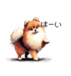 ドット絵 ポメラニアン 日常会話 40種 犬（個別スタンプ：14）