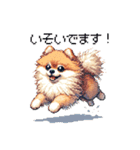 ドット絵 ポメラニアン 日常会話 40種 犬（個別スタンプ：18）