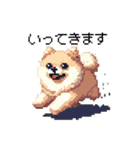 ドット絵 ポメラニアン 日常会話 40種 犬（個別スタンプ：30）