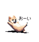 ドット絵 ポメラニアン 日常会話 40種 犬（個別スタンプ：32）