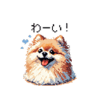 ドット絵 ポメラニアン 日常会話 40種 犬（個別スタンプ：37）