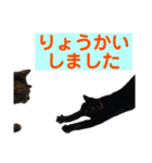 ケバブと田中クマ。連絡に使う編（個別スタンプ：7）
